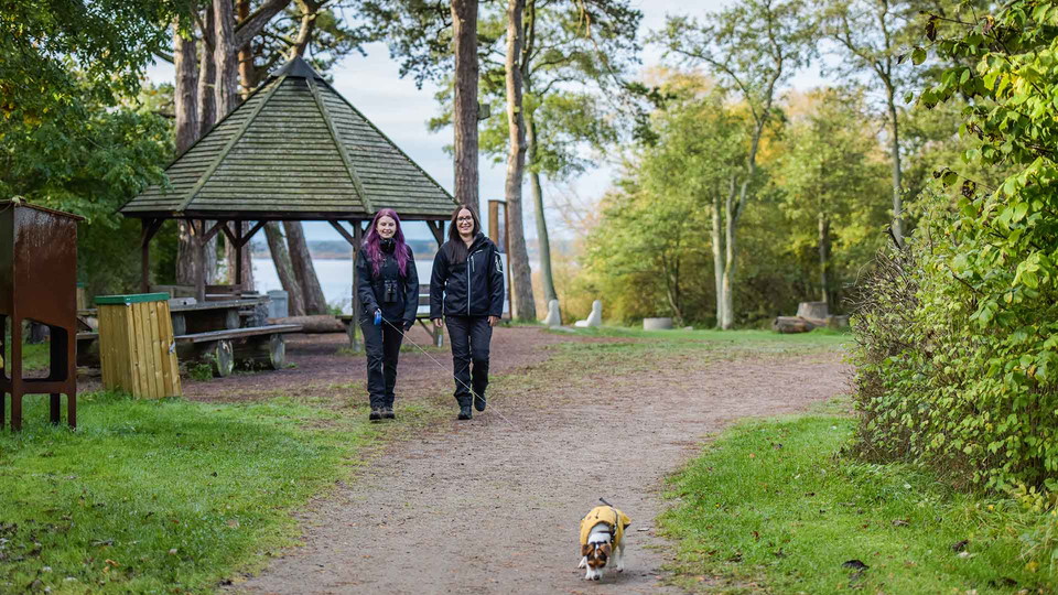 Ett skärmtak och ett bänkbord syns i bakgrunden. Framför går två personer och en liten hund