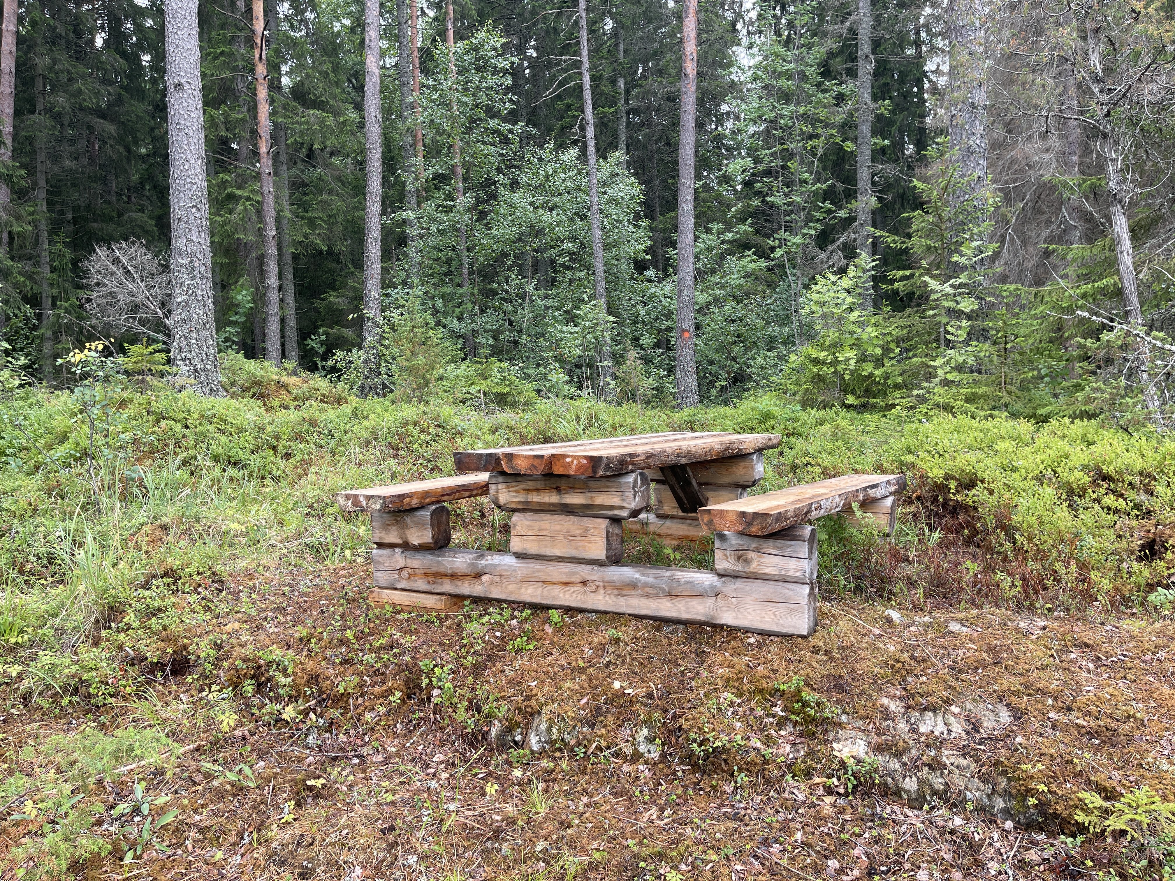 Picknickbord med bänkar i skogskant.