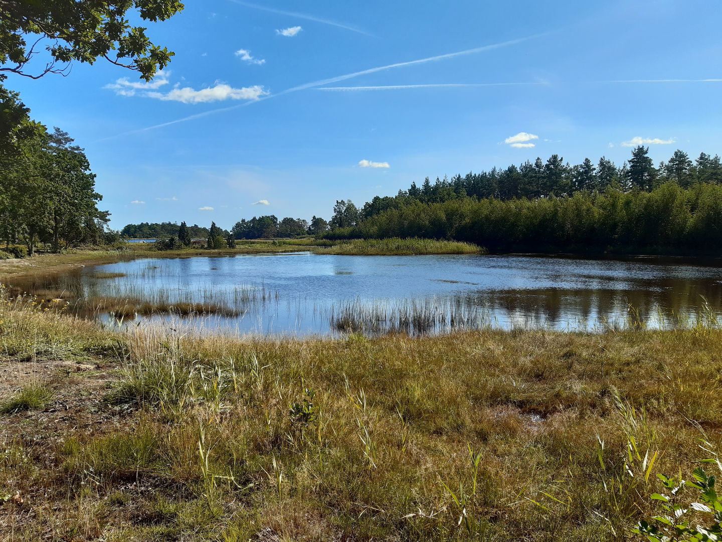 Våtmark Nyttorp