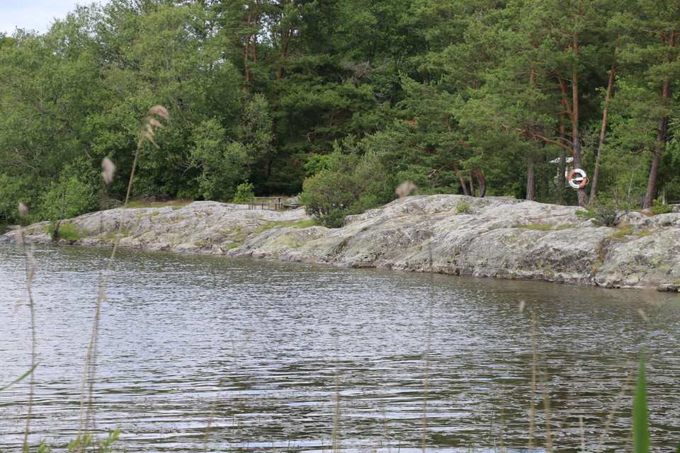 Klippor vid Mälaren. En livboj sitter på ett träd.