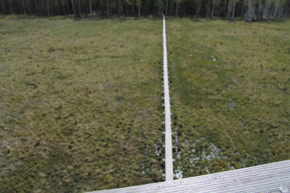 Spången fotad från fågeltornet.