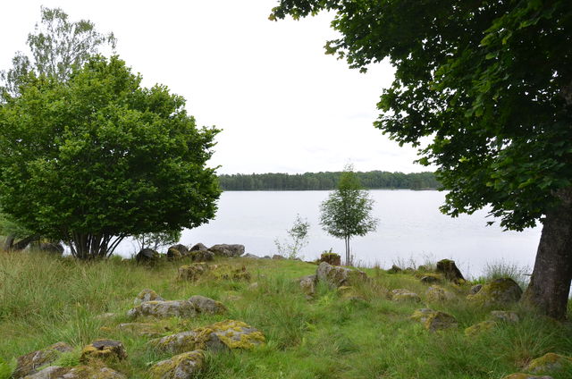 Lammen