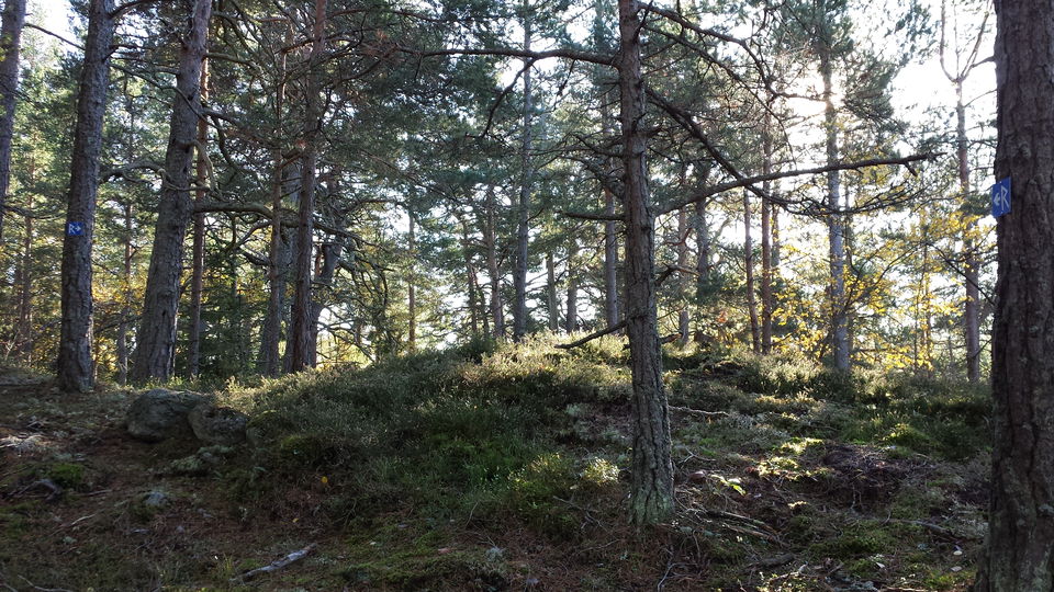 Bergskrönet med stensättningen.