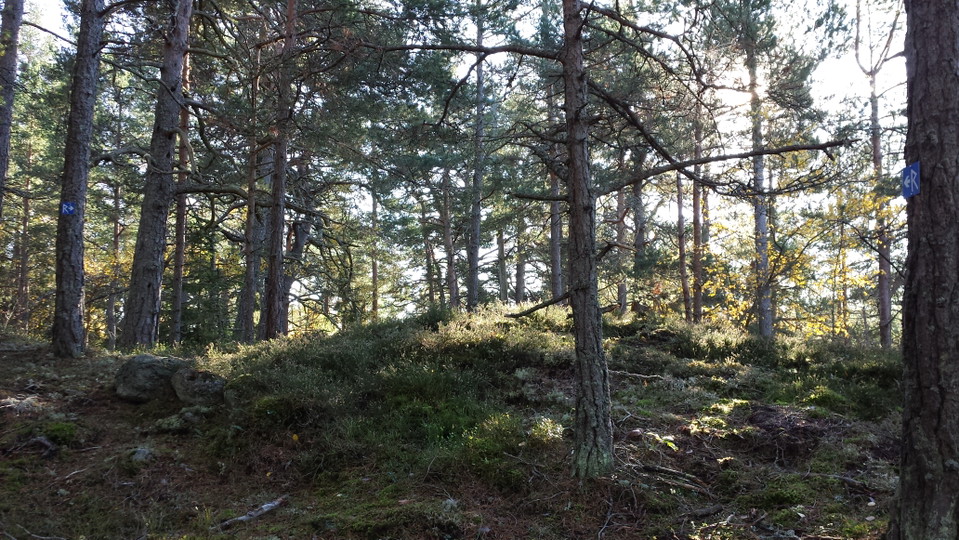 Bergskrönet med stensättningen.