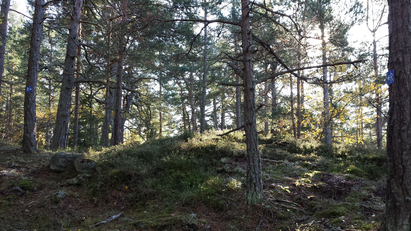 Bergskrönet med stensättningen.