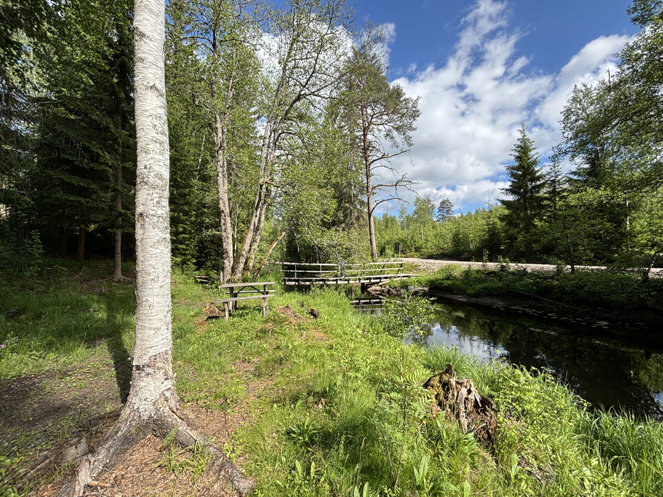 Rastplats Hedströmmen