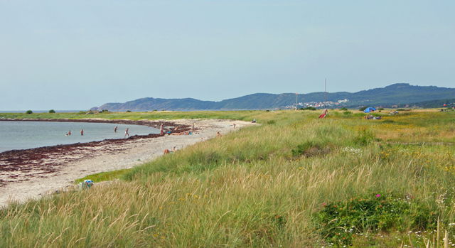 Nyhamnsläge-Strandbadens kusthedsreservat, Naturreservat