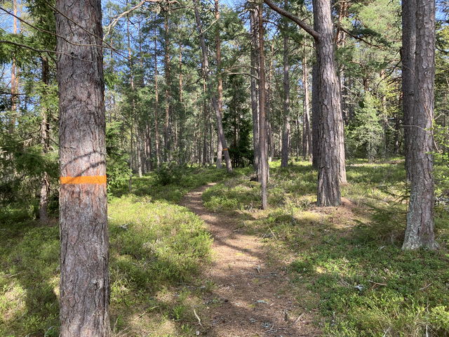 Led Västra Långholmen