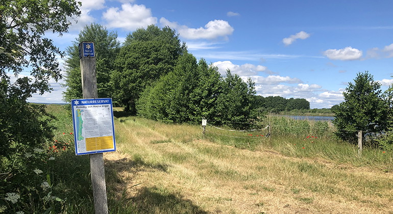 Informationstavla vid Åladammen i norr.