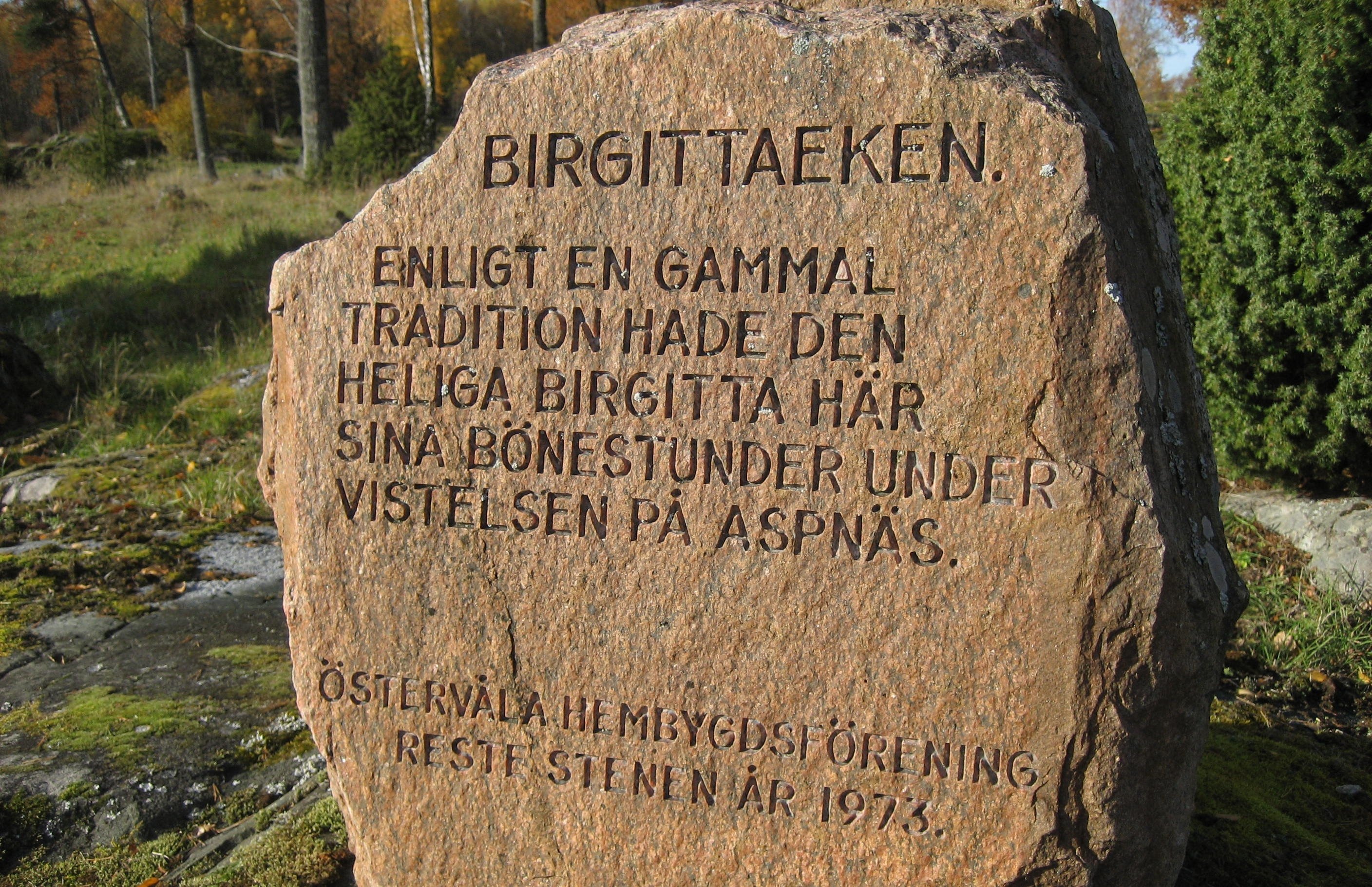 Närbild på en stor sten med inristad text. Stenen står i naturen med stenar, gräs och träd runtomkring sig.