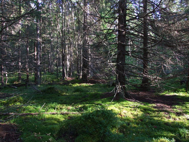 Sandöörarna