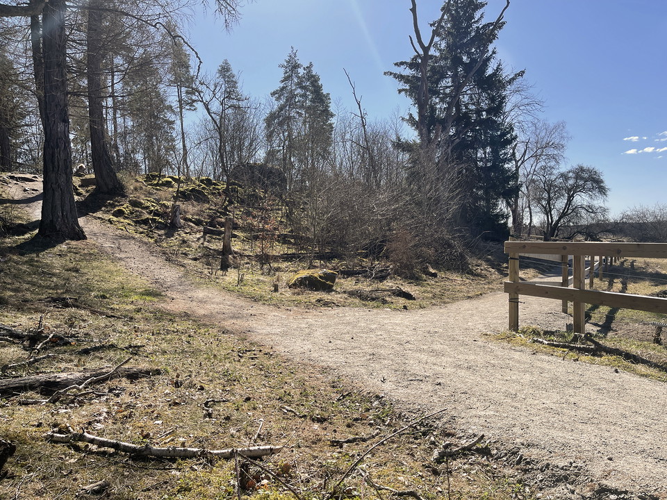 Grusad stig som grenar sig. En delen smalnar av och går över en höjd. Den andra delen är bred och går runt höjden.