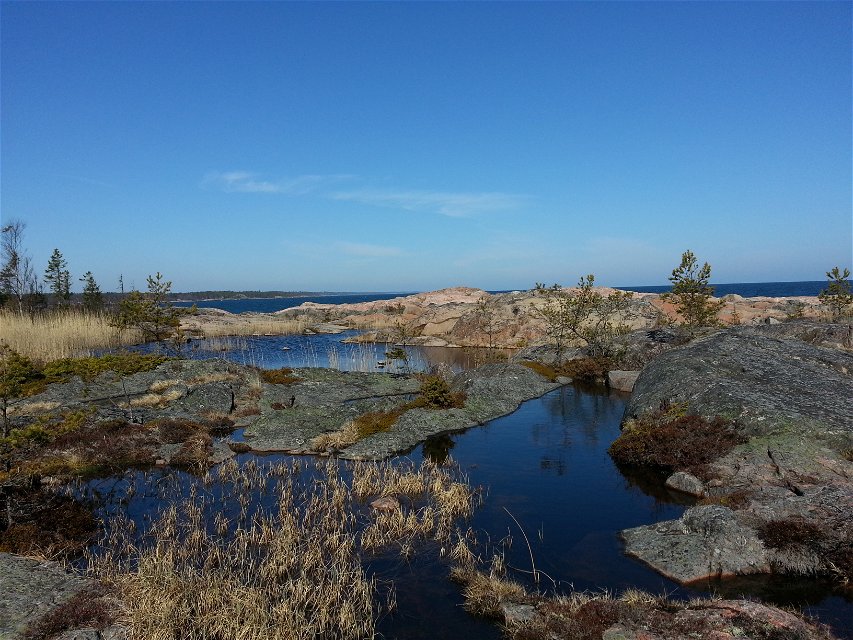 Hällkar i Rönnskärs uddes naturreservat. Foto: Josefin Sundberg