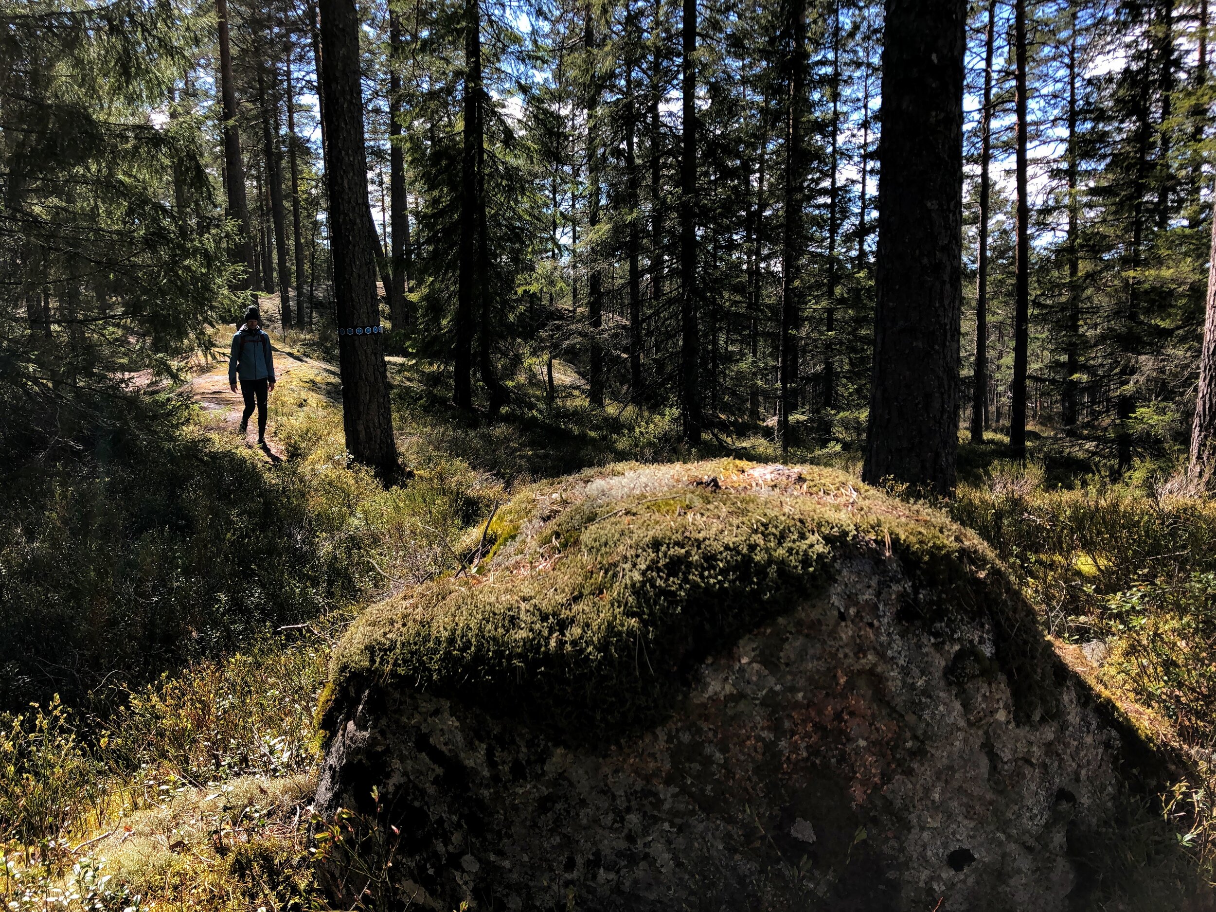 STF digitaliserar Sveriges vandring med Naturkartan