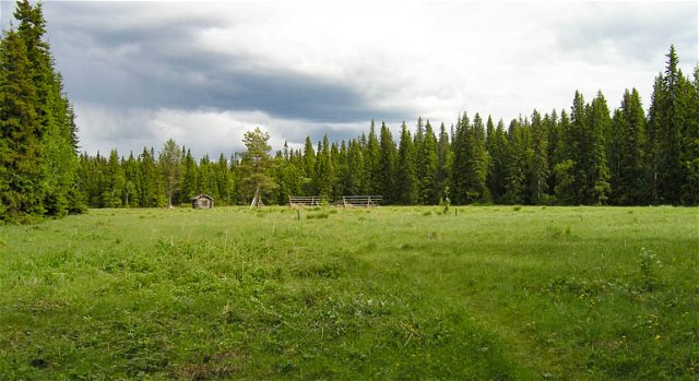 Gideåbergsmyrarna, Naturreservat