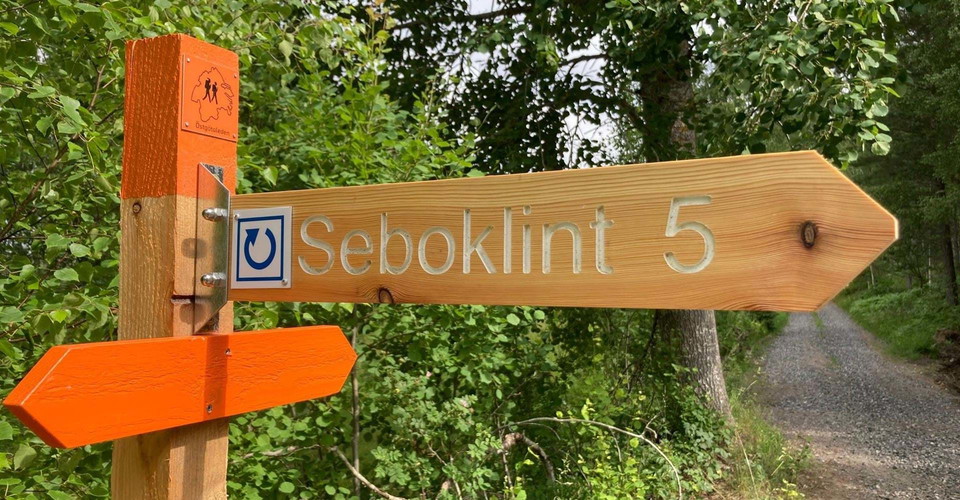 Etapp: Seboklint rundslinga