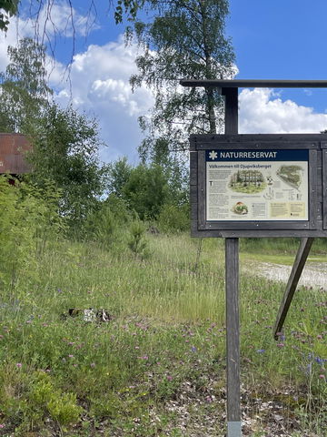 Djupviksberget