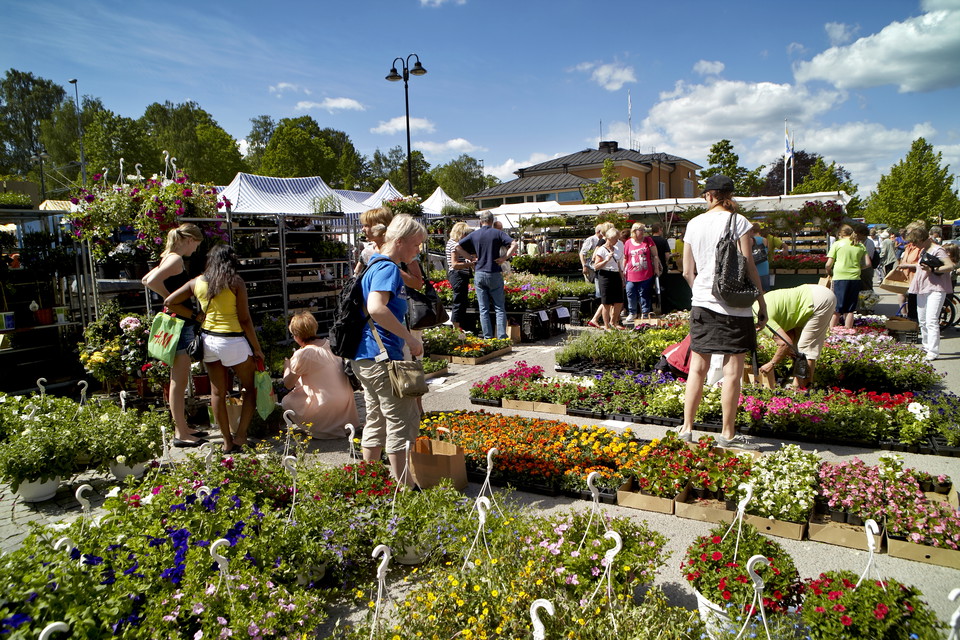 Fotograf: Hans Runesson