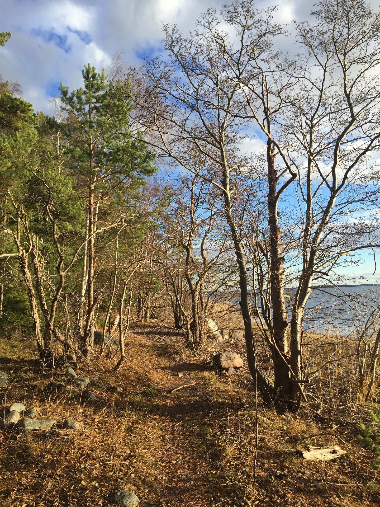 En stig går utmed strandlinjen i Getholmens naturreservat.