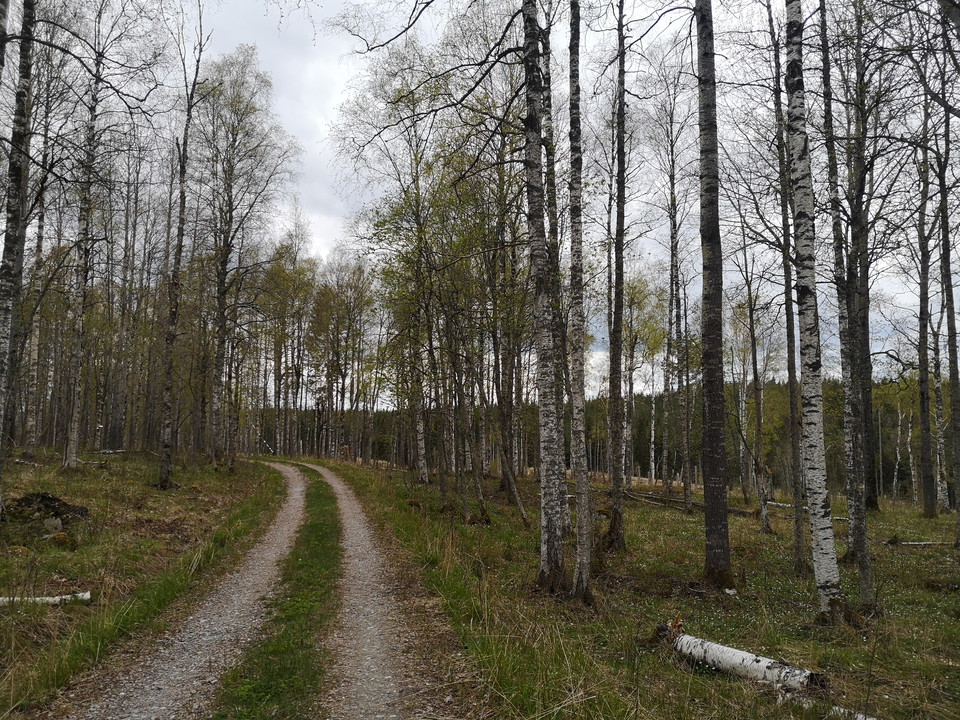 Vägen upp mot Malingsklack