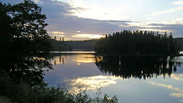 Motionsspår i Svanskog