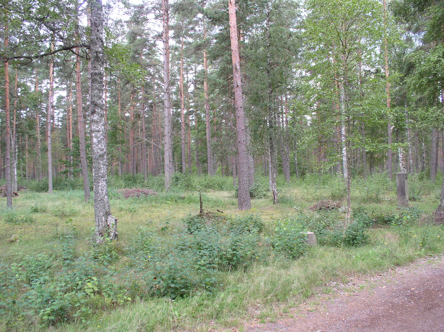 Hultsfred slätt