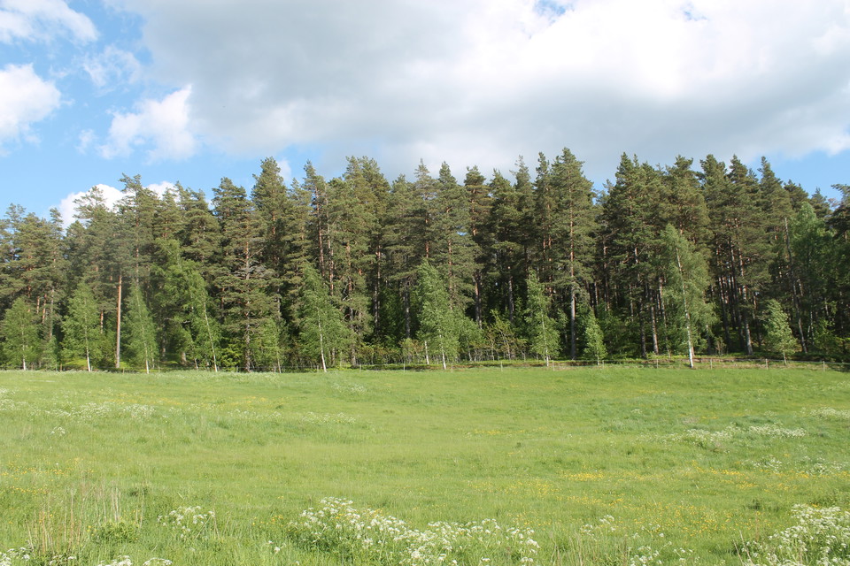 Utsikt på Lustigkulle naturreservat från vägen