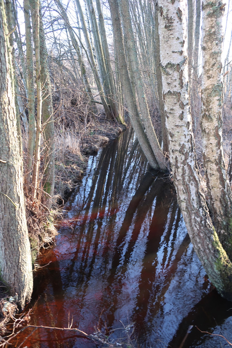 Vattenspegel 