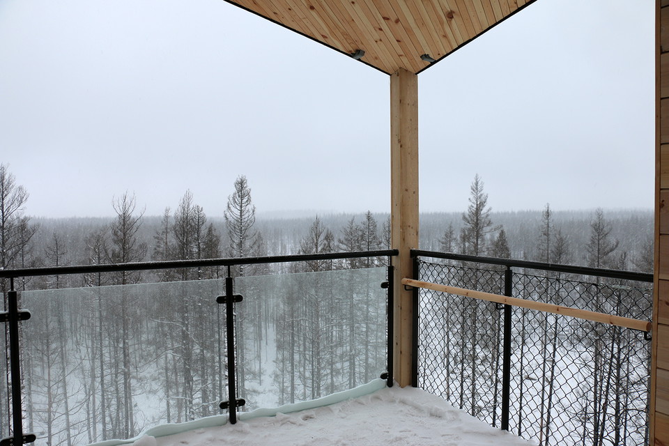 Utsikt över trädtoppar. Landskapet är snöigt och himmelen grå.