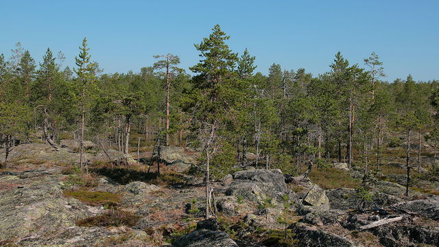 Revelberget