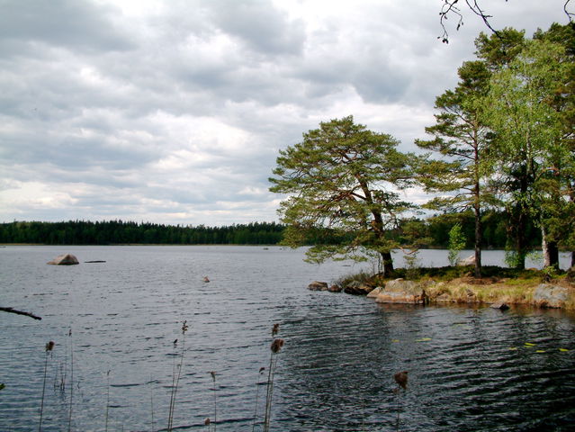Sjöbrånen