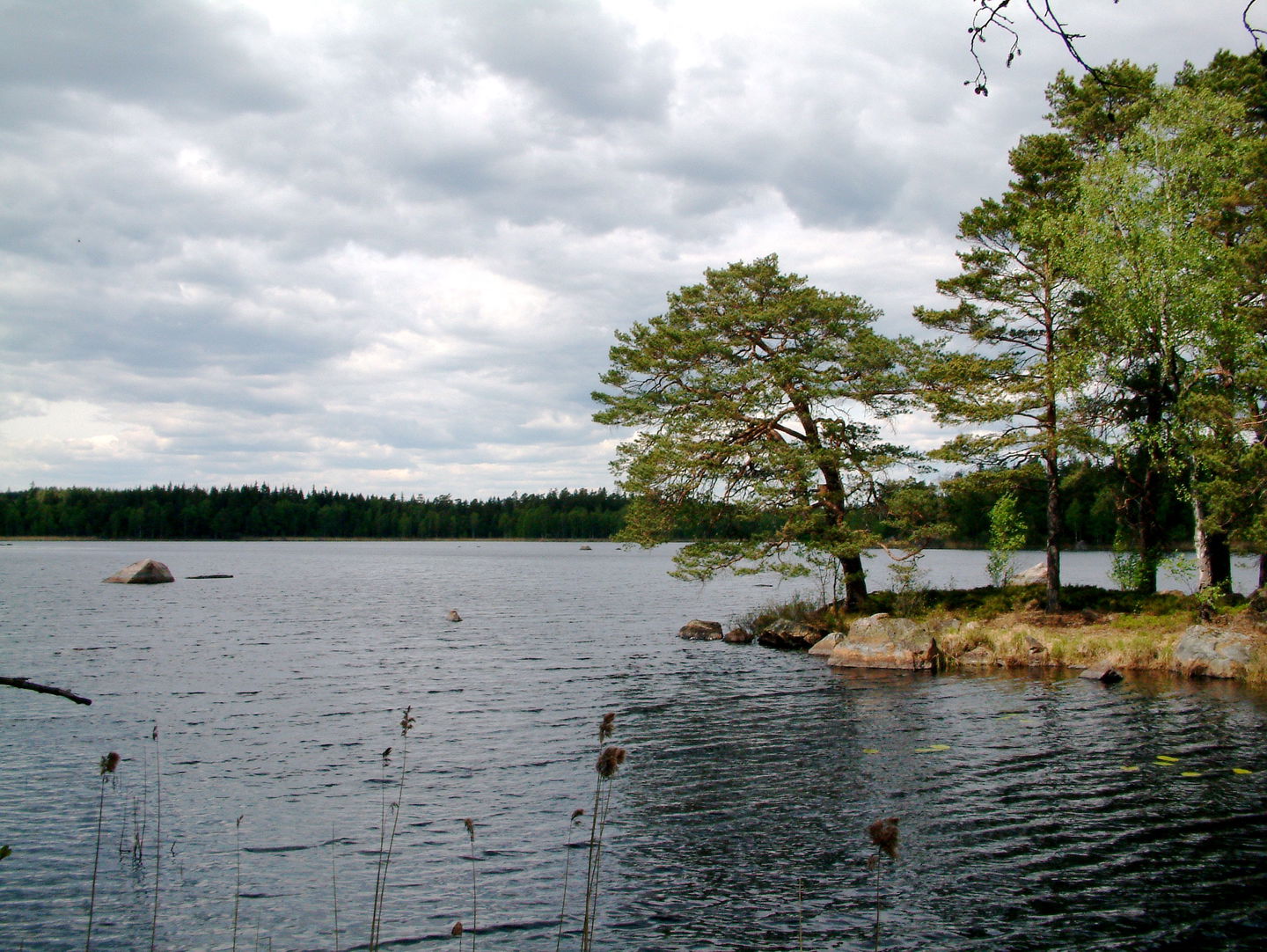 Grimmansmålasjön är en vacker skogssjö, som nyttjas för härliga friluftsaktiviteter såväl sommar som vinter i form av bad, båtsport, skridskoåkning och fiske. Sjön är grund och stenig samt näringsfattig som de flesta skogssjöar i Småland
