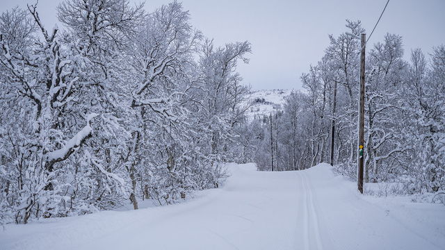 Elljusspåret 4,5 km - Högfjällshotellets spårcentral (längdskidor, Storlien)