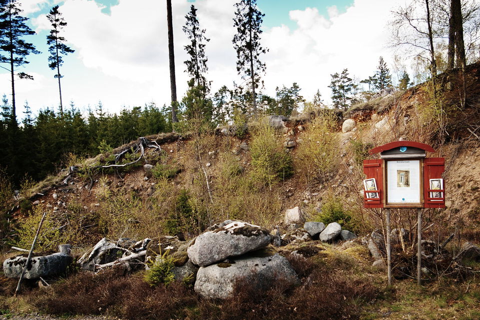 Ett sägenskåp vid en skog