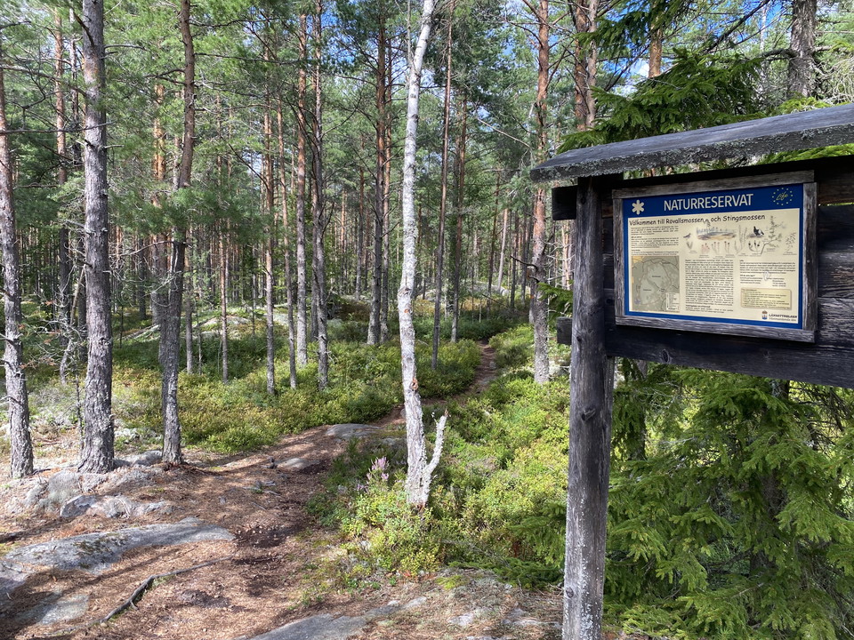 Vandra genom naturreservat