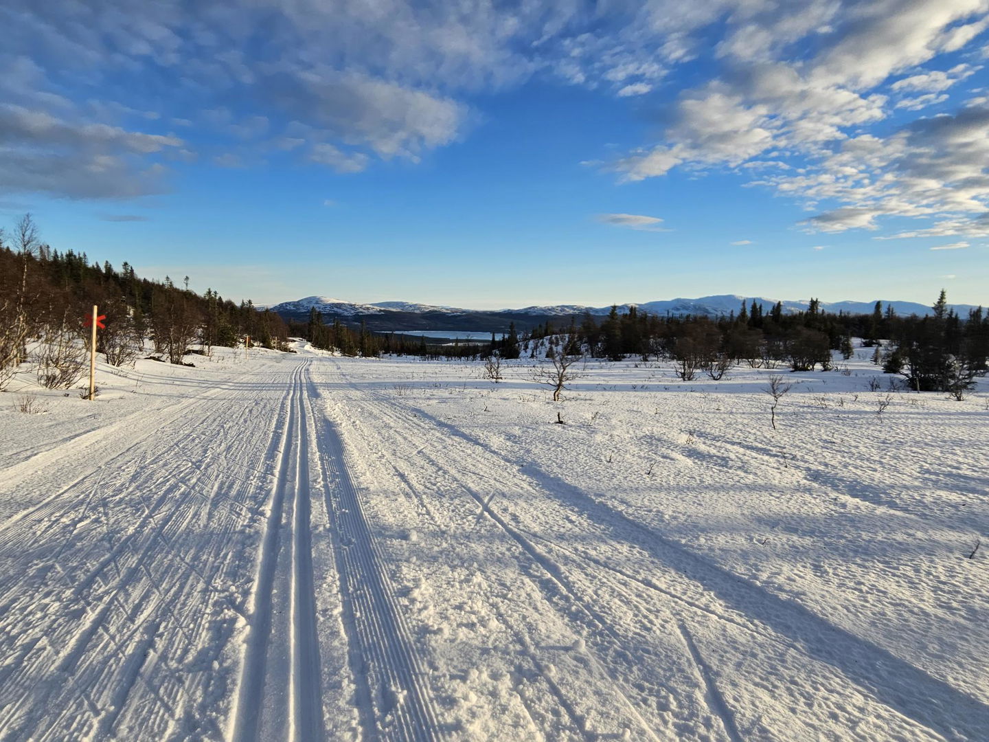 Utsikten är milsvid på platån vid Ripkallköjden.