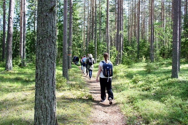 The Uppland Trail, section 16, 13 km