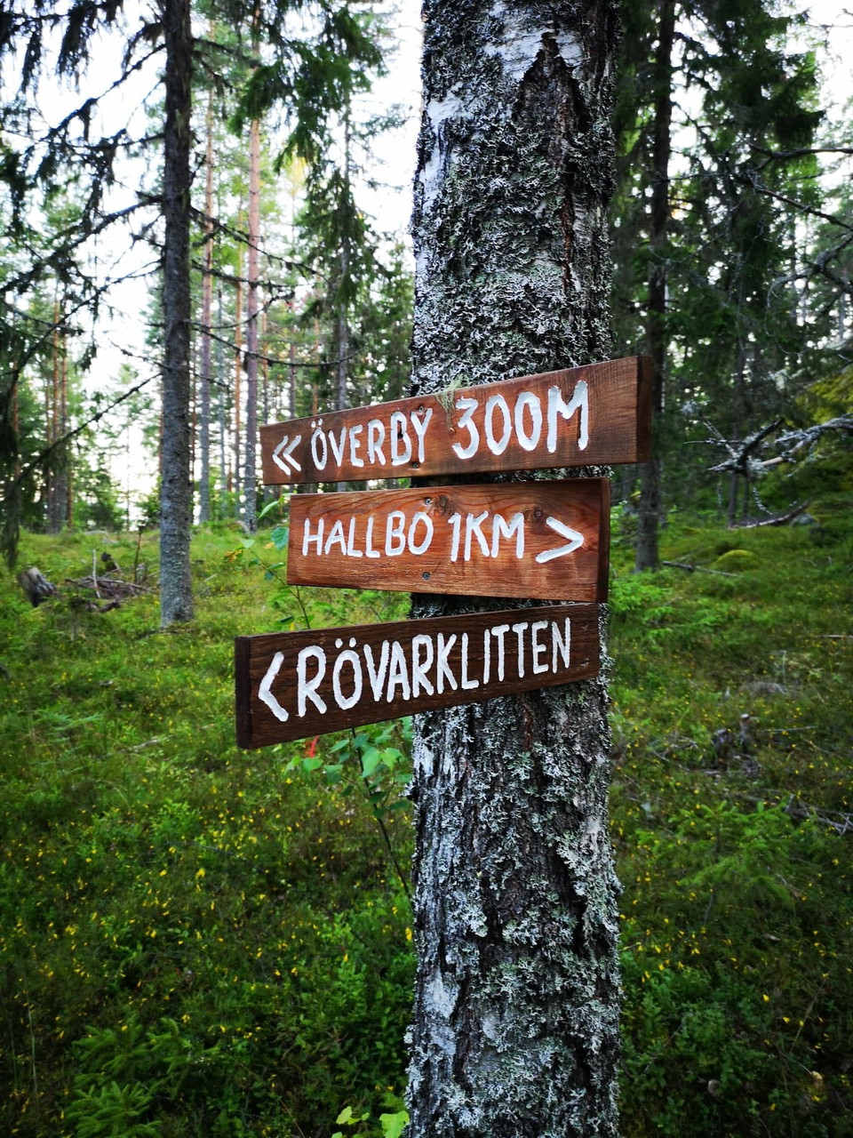 Här svänger man vänster