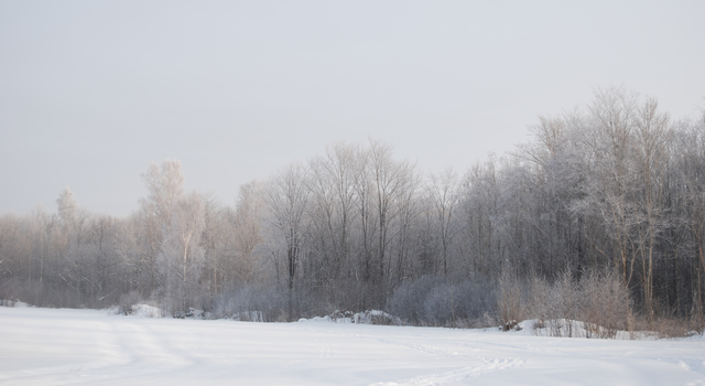 Vinteråsen naturreservat