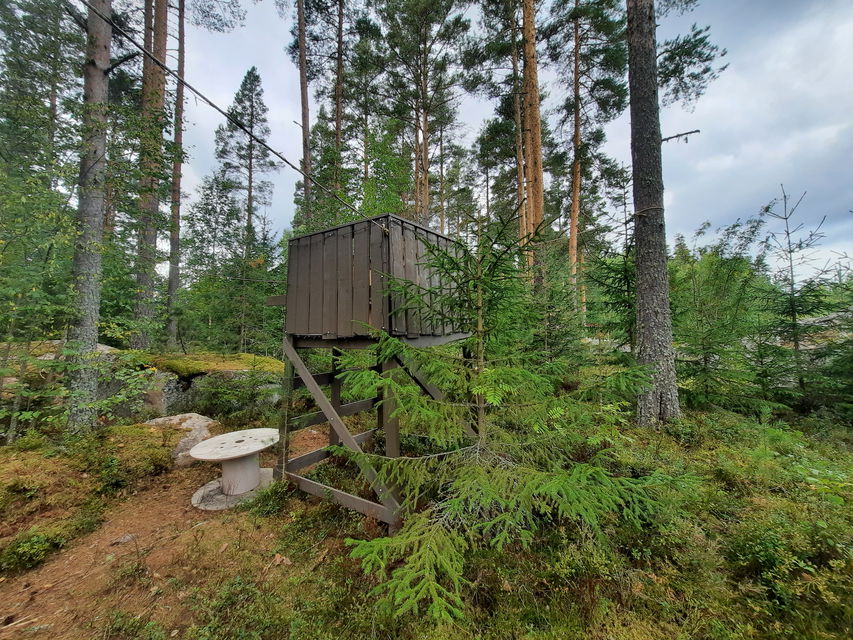 Klättra upp i jakttornet och spana efter Hälge
