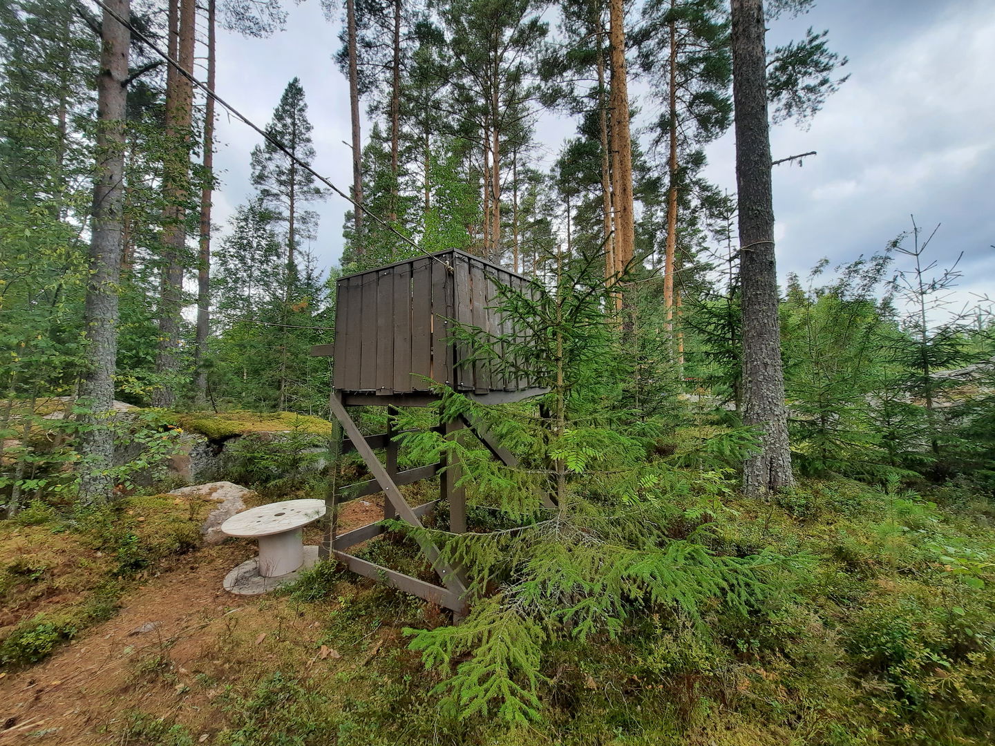 Klättra upp i jakttornet och spana efter Hälge