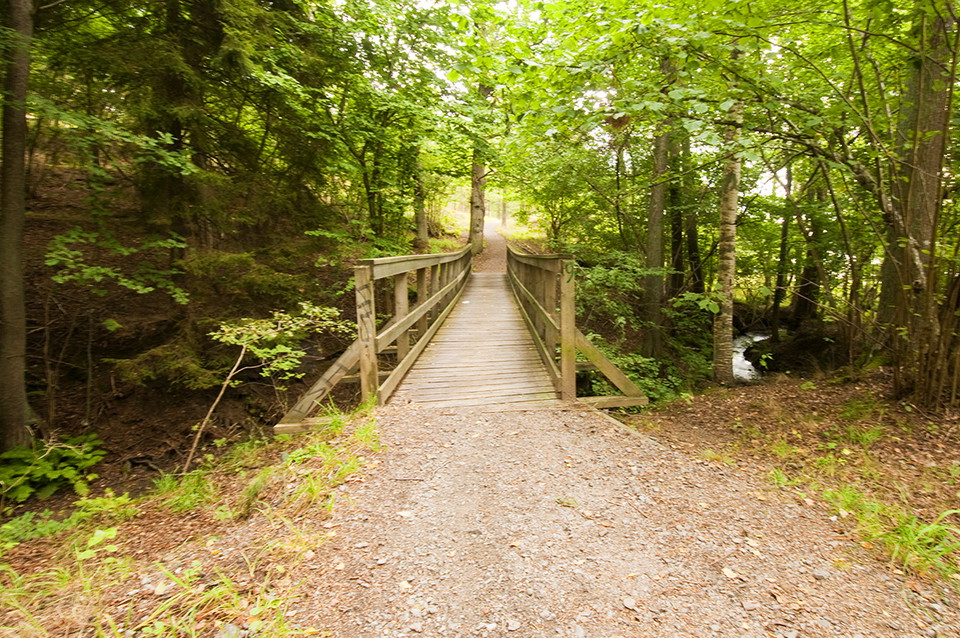 Spången över bäckravinen vid utloppet mot Drevviken.