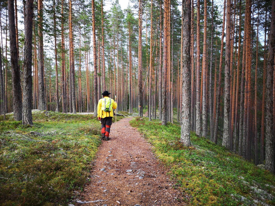 Gröntjärns Naturreservat