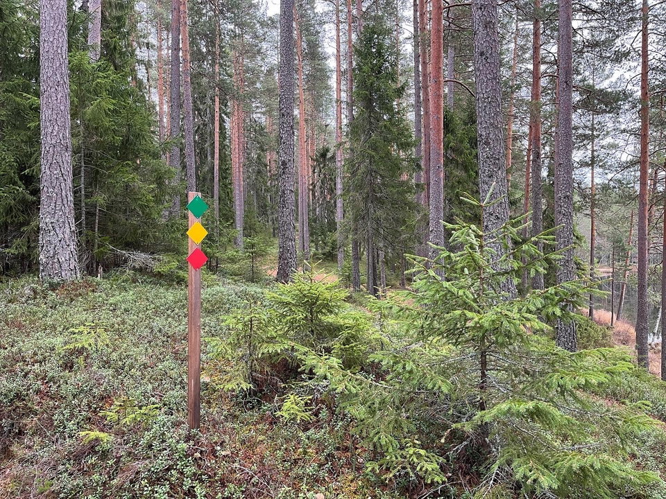 Markering längs med motionsspåren