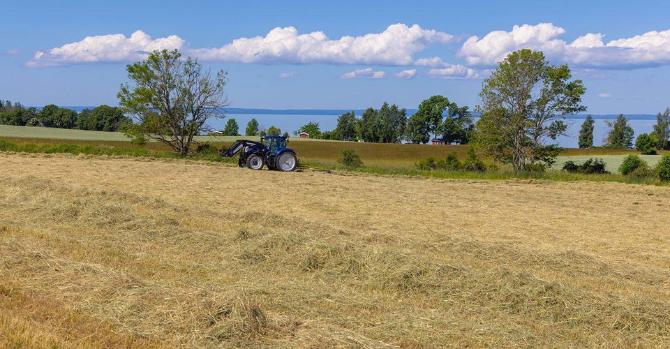 Etappen går genom vackra odlingslandskap.
Etapp: Borghamn-Vadstena.
Vadstena.