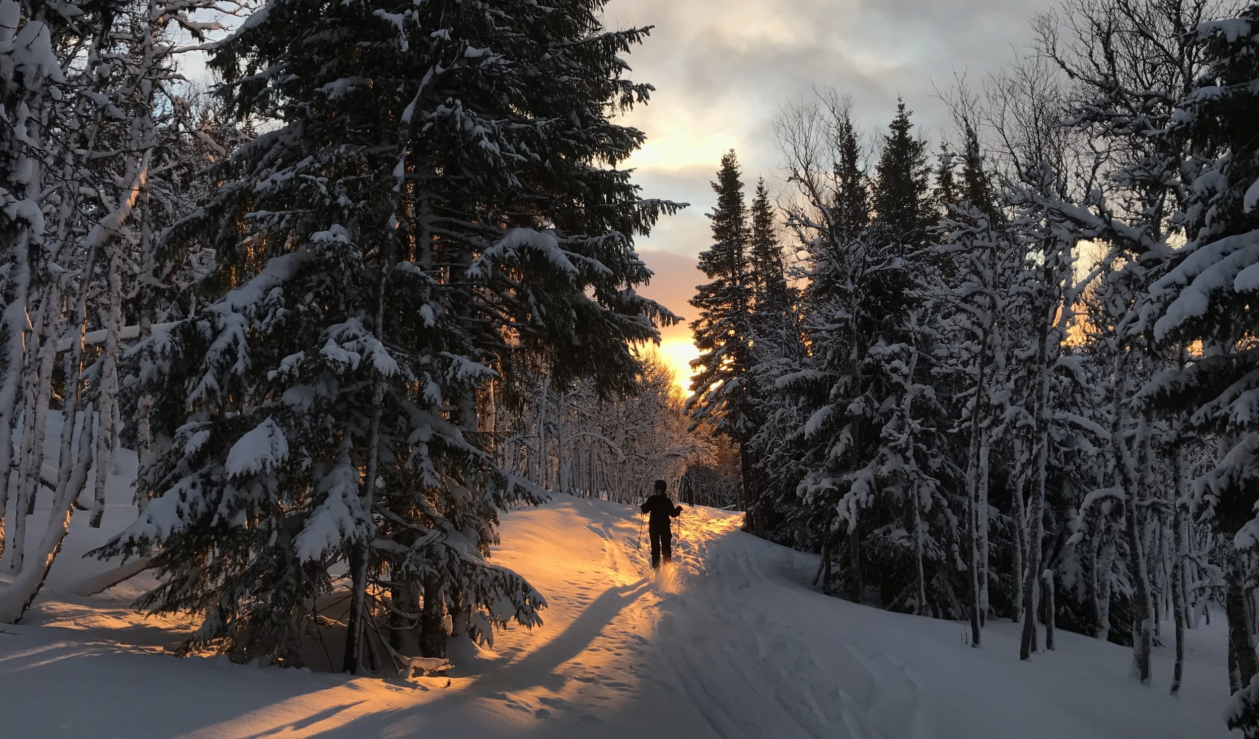 Tack för ett underbart friluftsår! Och god jul!