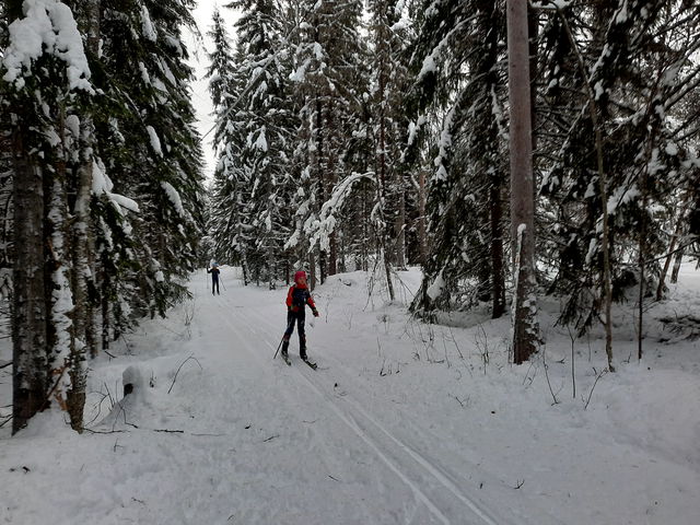 Korta slingan 1 km Skålsjögården