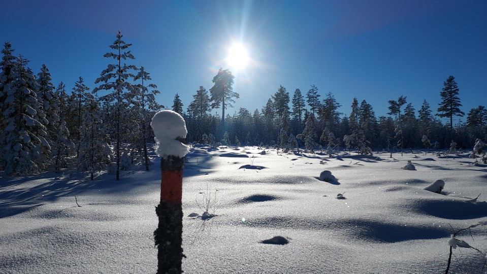 Sjuvallsleden