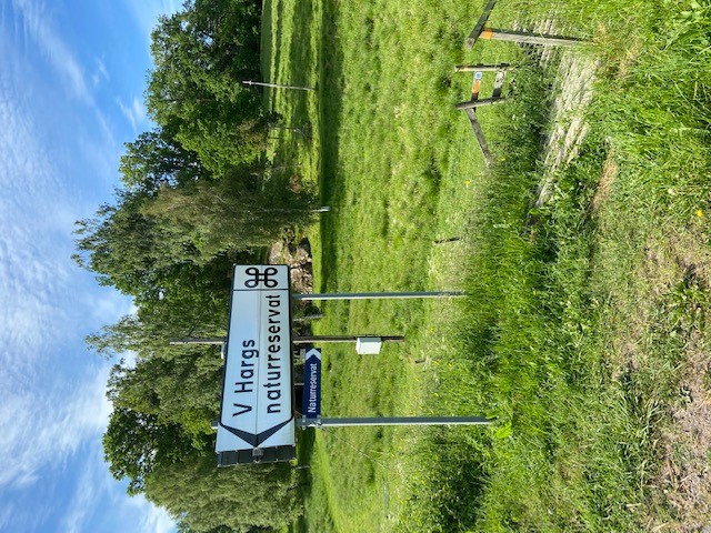 Startplats för eljusspåret och informationsskylt om Västra Hargs naturreservat