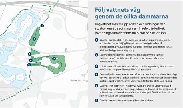 Hagbygärdedämmet, en del av våtmarksområdet i Skärgårdaparken.